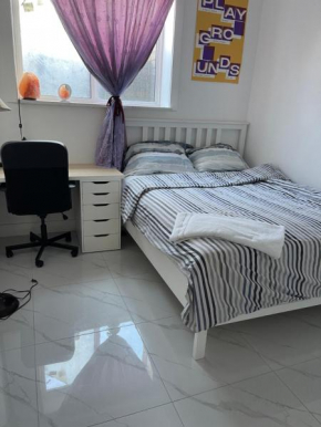 New Luxury Walkout Suite Near University